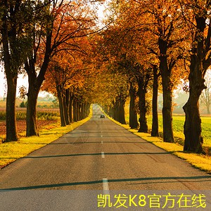 大跨距电缆桥架的成本控制策略